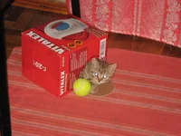 IMG_3940.webp