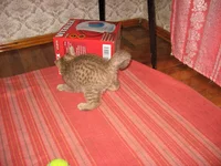 IMG_3946.webp