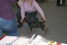 IMG_7959 копия.webp