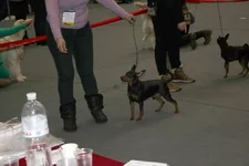 IMG_7972 копия.webp