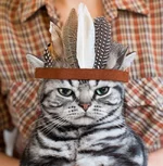 0_f383e_d127c9f7_orig.webp