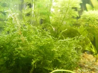  004.webp