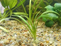  006.webp
