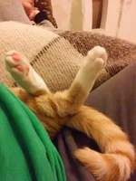 20150116_194316.webp