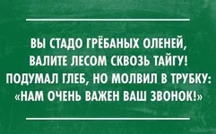 stado.webp