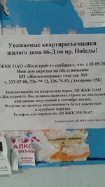 YJzHahkW7Mg.webp