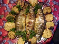 DSC00313.webp