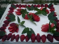 DSC00322.webp