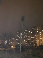 LJCK7tNWUKQ.webp