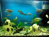 2015103114143.webp