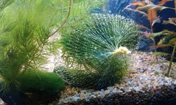 IMAG1569.webp