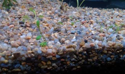 IMAG1571.webp