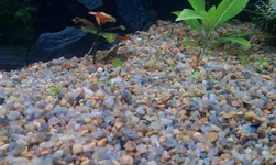IMAG1573.webp