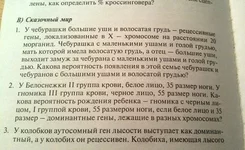 getImage (4).webp