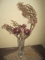 96 Буря в стакане.jpg
