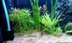 IMAG1609.webp