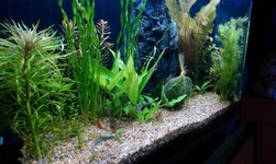 IMAG1612.webp