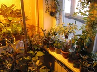  IMG_0892.webp