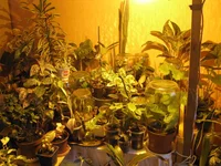  IMG_0893.webp