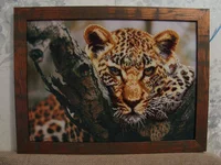 image.webp