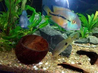 IMG_20150218_173815.webp