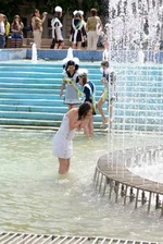 DSC03582.webp