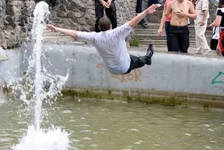 DSC03678.webp