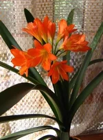 IMG_0082.webp