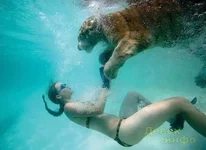 40004.webp
