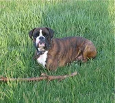 _1.webp