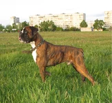 _3.webp