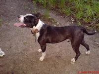 DSC00080.webp