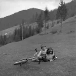 012.webp