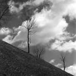 013.webp