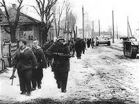 1943_d7.webp