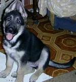 PIC_0007-1.webp
