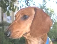  Изображение 069.webp