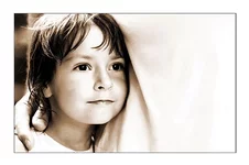 DSC_444400к.webp