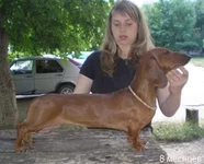  Изображение 019 copy.webp