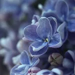 IMGP7604.webp
