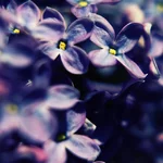 IMGP7624.webp