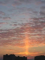 IMG_3101.webp