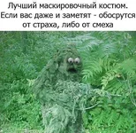 1204927.webp