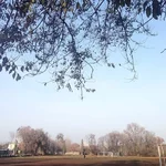 cxy0E1DKqx8.webp