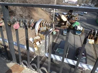viknik2.webp