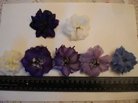  цветов (2).webp