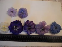  цветов (3).webp