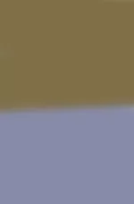 dress.webp