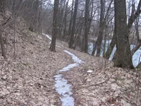 IMG_8647.webp
