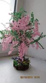 16.webp